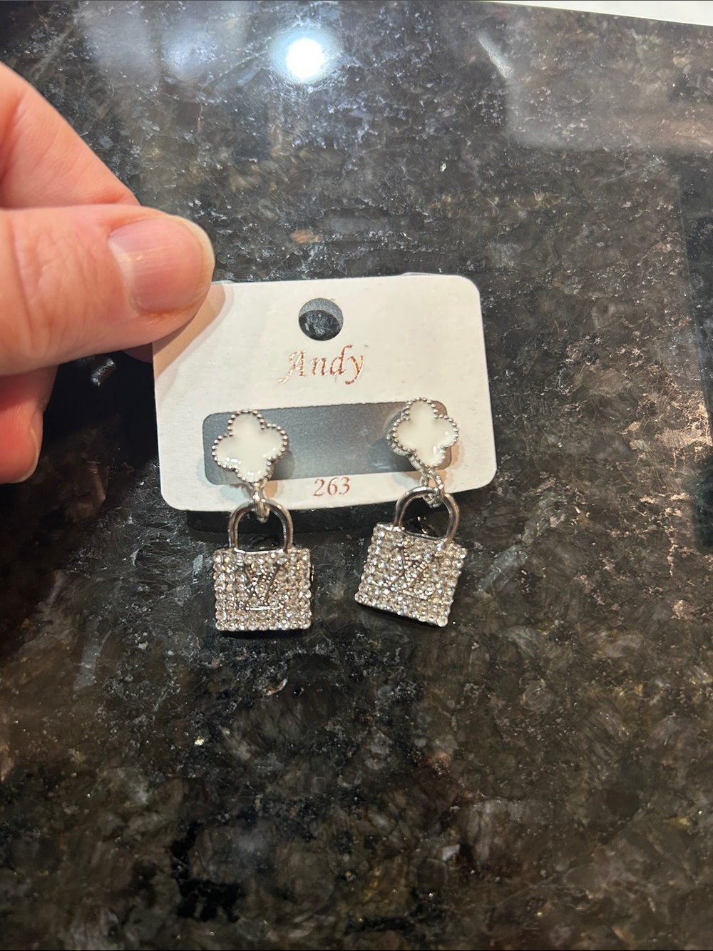NWT LV Bag Fashion Earrings
